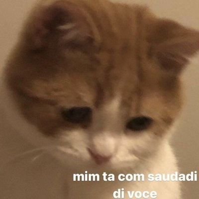 rodia_zanut's profile picture. science