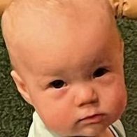 Dave Fox (@izzysbinkie) 's Twitter Profile Photo