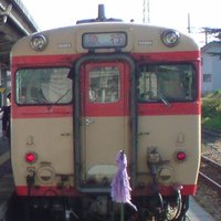 ヤナザアド (@yanazawaad) 's Twitter Profile Photo