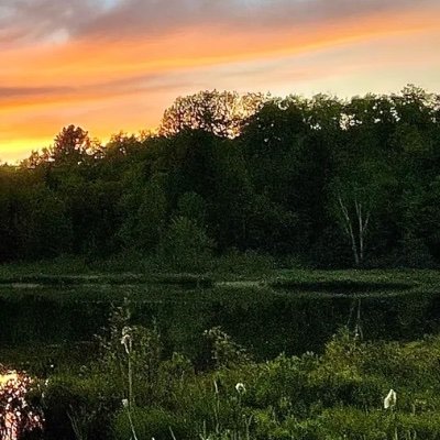 ACwith4's profile picture. 