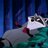 mapachetravieso's profile image