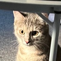 mlody w (@smutneoczyy) 's Twitter Profile