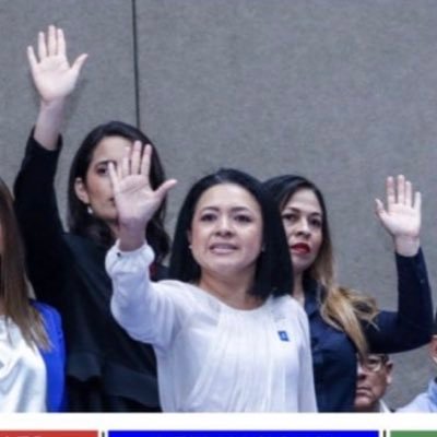 Defensora de Derechos Humanos| Provida |Abogada|Especialista en Derecho de Familia| Niñez| Mujeres| Secretaria General del Partido @vamoselsalvador