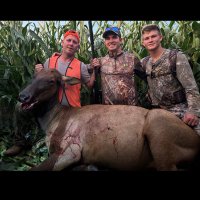 Braiden Kort (@braidenkort) 's Twitter Profile