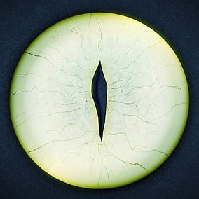 GranHermitanio's profile picture. buscador de meme-rokets