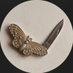 وردة (@girll0nfire) Twitter profile photo