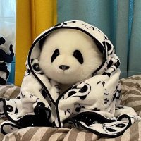 Pavel Ilyashenko (@ipavvel_) 's Twitter Profile Photo Pavel Ilyashenko (@ipavvel_) 's Twitter Profile Photo