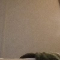 Frances Odom (@fodom12349) 's Twitter Profile
