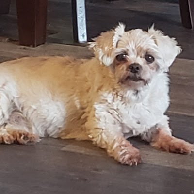 JazcumH86979's profile picture. 