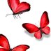 The Political Butterfly (@ThePollyButters) Twitter profile photo