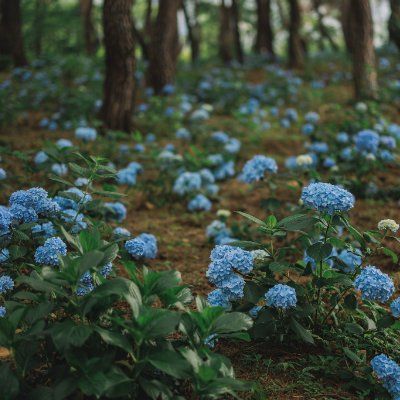 soggythird21121's profile picture. 