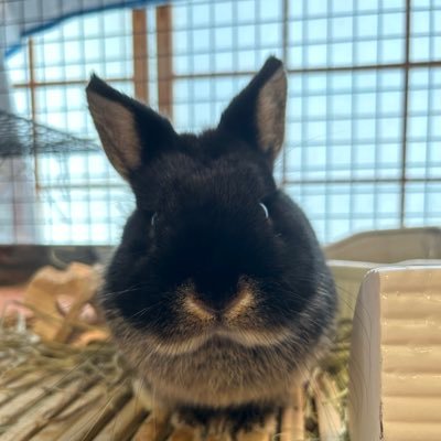 norinorichatran's profile picture. 小学生の頃、シティハンターでGet Wildを聞いて、宇都宮さんの声に射抜かれました。CAROLから本格的なFANKSになり、TMN後少し離れておりましたが、コロナ禍のステイホームで、出戻ってまいりました。intellgence days行ける日は参戦しました！