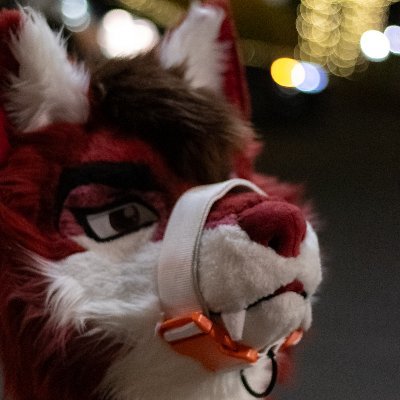 25 ｜ He⁄They ｜ Single ｜ Bi⁄Demi ｜ King Shepherd ｜ Firefighter EMT ｜

Bark! Hi all I'm Edan and this is my profile for my partial, Cassidy the Maroon Wolf!