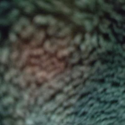 gNriYL9pvE39113's profile picture. ドライ神経質なんで皆と関わりません。