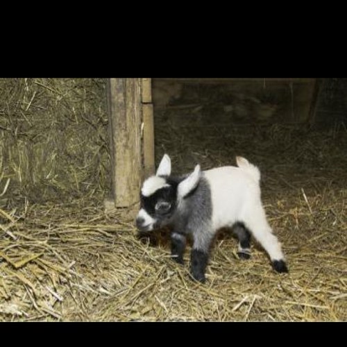 majohnson318's profile picture. 