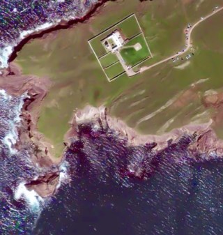 straroneland's profile picture. 