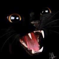 Not.A.Cat (@cryochicken) 's Twitter Profile