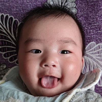 鹏宝