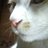 cha_na2's profile image