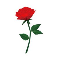 慈薔薇 煌愛✨🥀IRIAM準備中 (@itkbr_koua) 's Twitter Profile