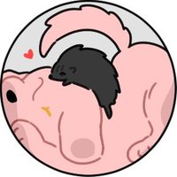 햅작 (@heapjak343) 's Twitter Profile