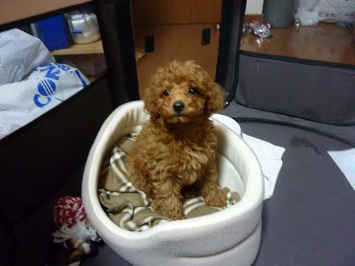 ta34258's profile picture. 