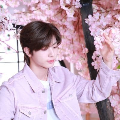 xxyeshaaxx's profile picture. Multi #SF9 #ONF #ONEWE #MonstaX

Ava korea, apa lo