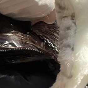 Nanmyu07's profile picture. 07/日文 gwc