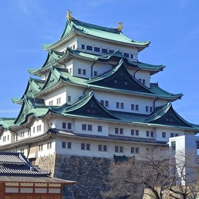 polen295426's profile picture. 