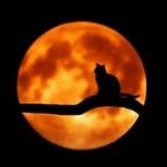 Soy Jennifer🌺 Tarot✨ Astrología✨ Yoga✨ Meditación✨ Música ✨🧙🌜🎤🎹🔭♓🎶✨🔮🕉️🧘🏻♀️💜✈️♀️✨✨
En otras redes: ArtemisasWorld
🇦🇷🇮🇹🇪🇸❤️