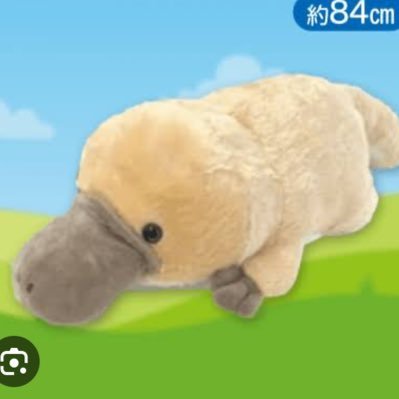 edulab777's profile picture. 南の個人塾。皆様のお話やご意見を伺いたく。都市部とへき地との教育格差を感じつつ、1人で悪戦苦闘する日々...の独りごと。