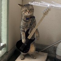 かたやん@WARP AGE Ba. (@katayan69) 's Twitter Profile
