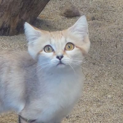 mozukumenさんのプロフィール画像