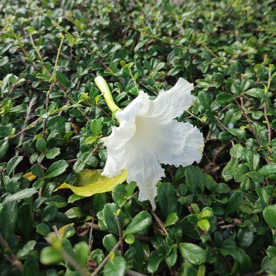 Moommoooomaaaa's profile picture. 