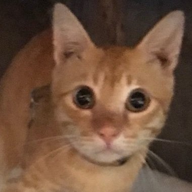 itsqueencyrine's profile picture. Out of sight, out of mind