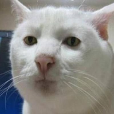 thezucundun's profile picture. Esse quam videri