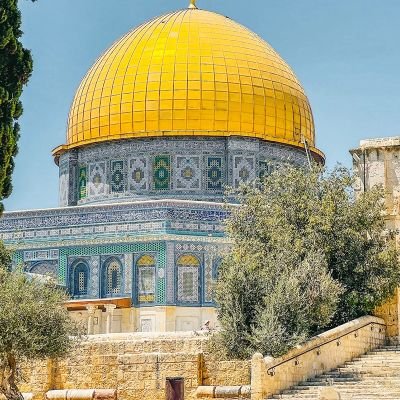 ustam3444's profile picture. selamünaleyküm
