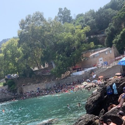 RedaMessao55572's profile picture. 