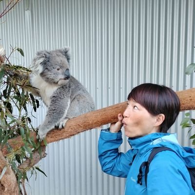 🌿占いハートフル伊勢佐木町店と自由が丘南口店にいます🌿重くなっている気持ちを軽くします🦜是非、会いに来てください🦜https://t.co/QUZEgY5c0m　https://t.co/GJH2j4siFm