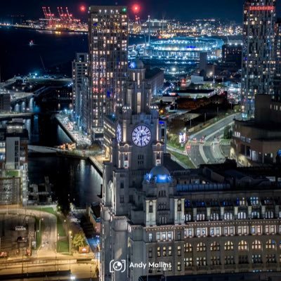 markmcelroy100's profile picture. 