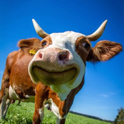 maerklw's profile picture. 