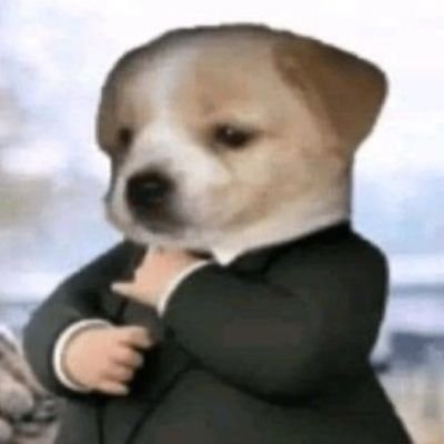 Soul_Ghost9999's profile picture. 
