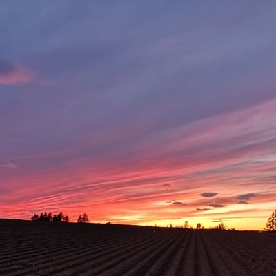 イマソラ 毎日投稿してみようと思う(  ´-`).｡oO
今思えば初めからおかしな事だらけだったのに気づけず３回💉情報収集中 2018年乳癌ステージⅠ/部分切除/放射線/タモキシフェン5年→レトロゾール
イマソラコロワク中心フォローリムーブご自由にどうぞ