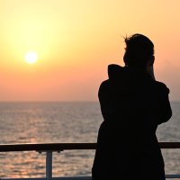 てるらん (@taillight3000) 's Twitter Profile