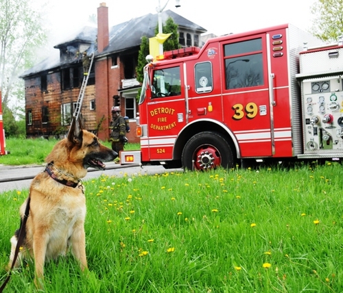 Detroit Fires as they happen..mostly on the overnight.