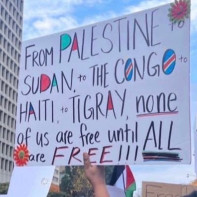 free 🇭🇹 🇵🇸 🇨🇩 🇾🇪 🇸🇩