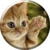🌈メン・タロー🌜🌏🌛 (@kevinsworldcomm) Twitter profile photo 🌈メン・タロー🌜🌏🌛 (@kevinsworldcomm) Twitter profile photo