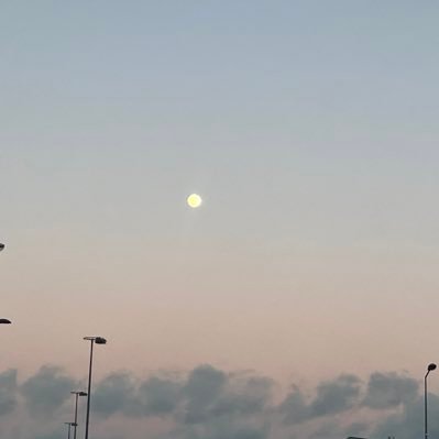 kahiina69's profile picture. 🇩🇿