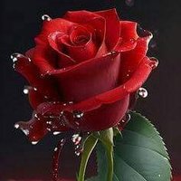 Mohan Kumar (@mohanku03143568) 's Twitter Profile