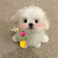 อัย 🩵 (@radahome_) 's Twitter Profile